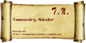 Temesváry Nándor névjegykártya
